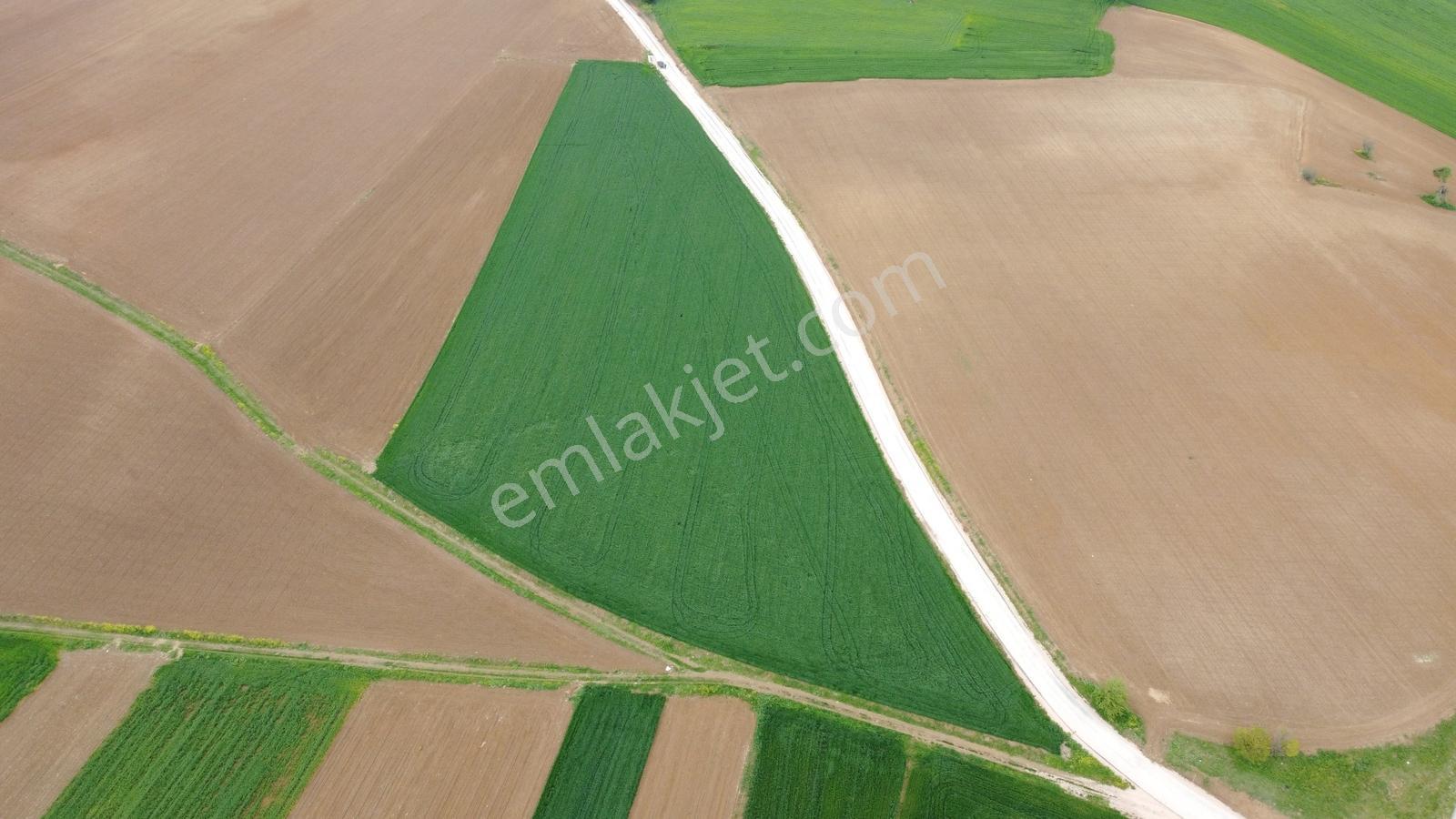 Karataş'tan 18750m2 Asfalt Cephe Harika Konumda Kupon Arazi - Görsel 33