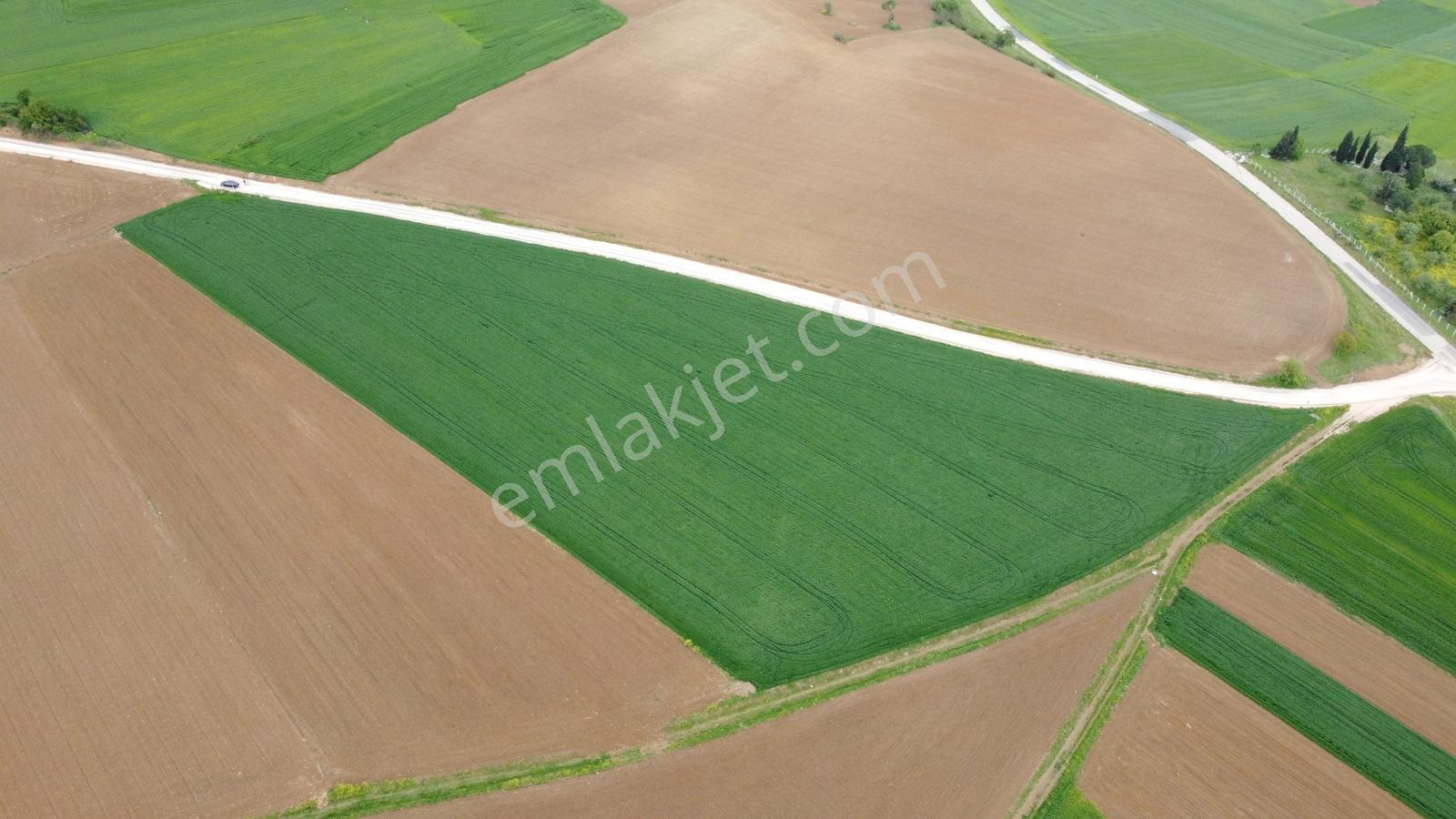 Karataş'tan 18750m2 Asfalt Cephe Harika Konumda Kupon Arazi - Görsel 26