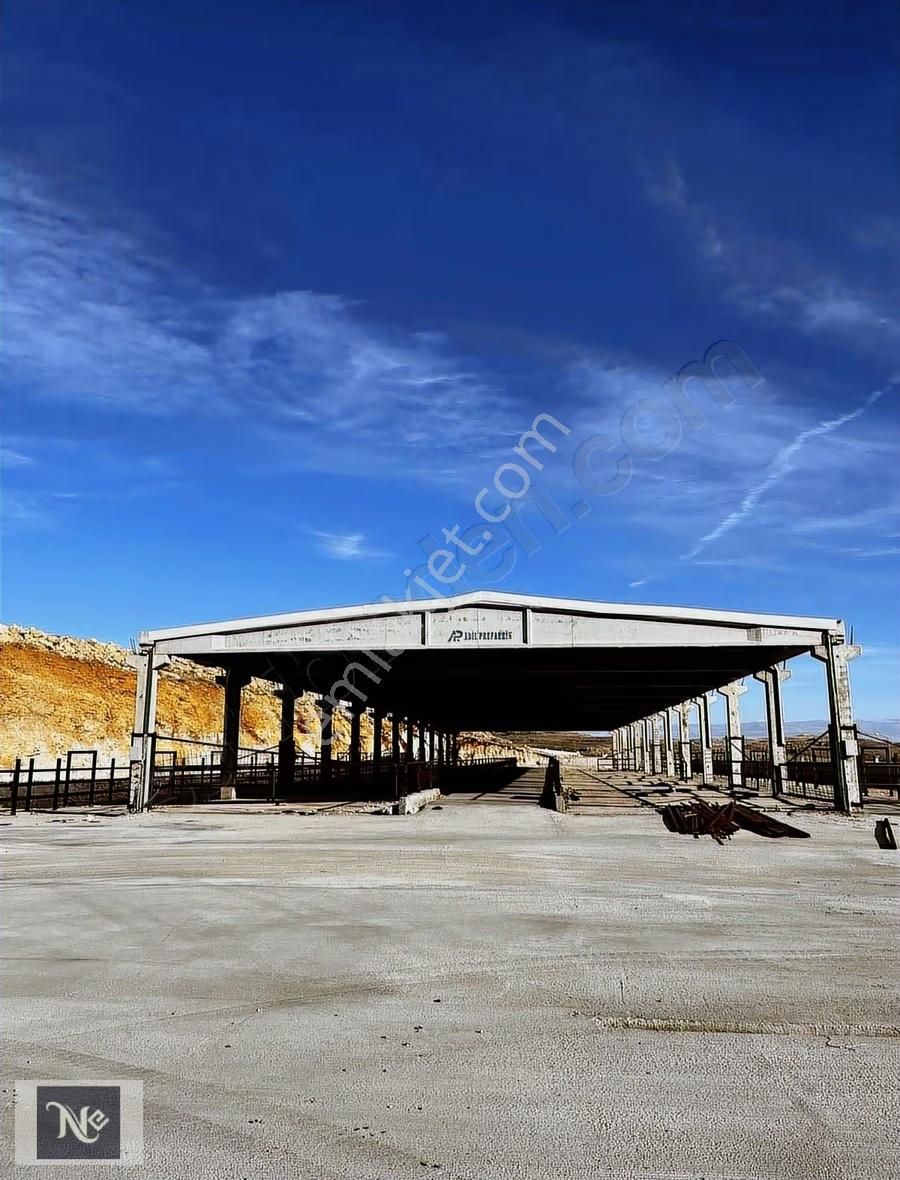 Nudem Emlak'tan Satılık Çiftlik - Görsel 8