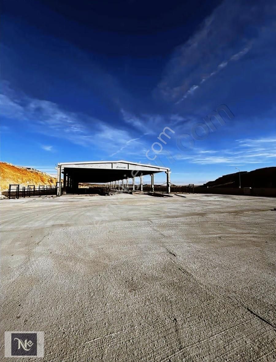 Nudem Emlak'tan Satılık Çiftlik - Görsel 6