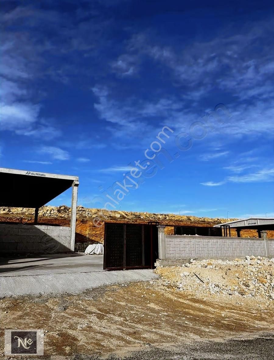 Nudem Emlak'tan Satılık Çiftlik - Görsel 15