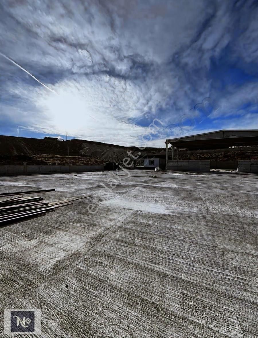 Nudem Emlak'tan Satılık Çiftlik - Görsel 5