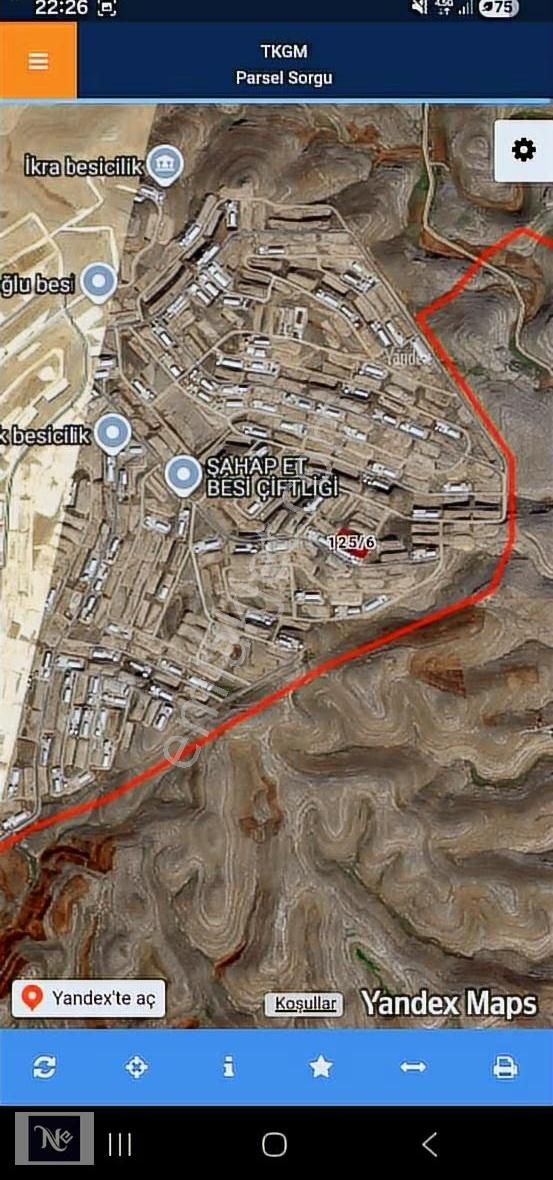 Nudem Emlak'tan Satılık Çiftlik Arsası Besi Organizede - Görsel 4