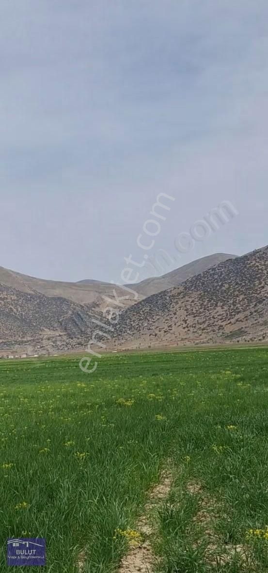 Mustakil Parsel 899m2 Köye Yakın.şekli Düzgün.lokasyon Harika... - Görsel 5