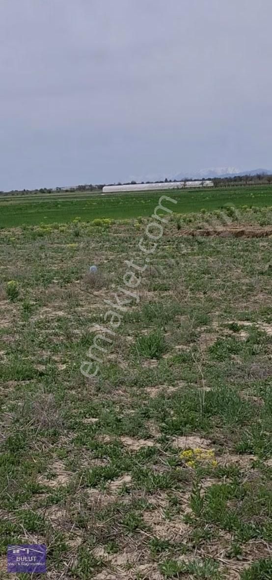 Mustakil Parsel 899m2 Köye Yakın.şekli Düzgün.lokasyon Harika... - Görsel 7