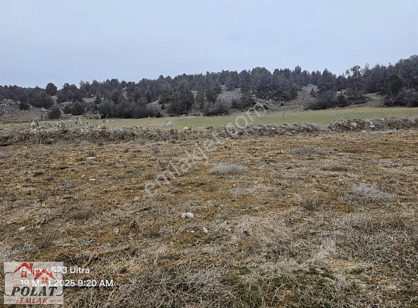 Burdur Polat Emlak'tan Satılık Tarla Erikli Köyü