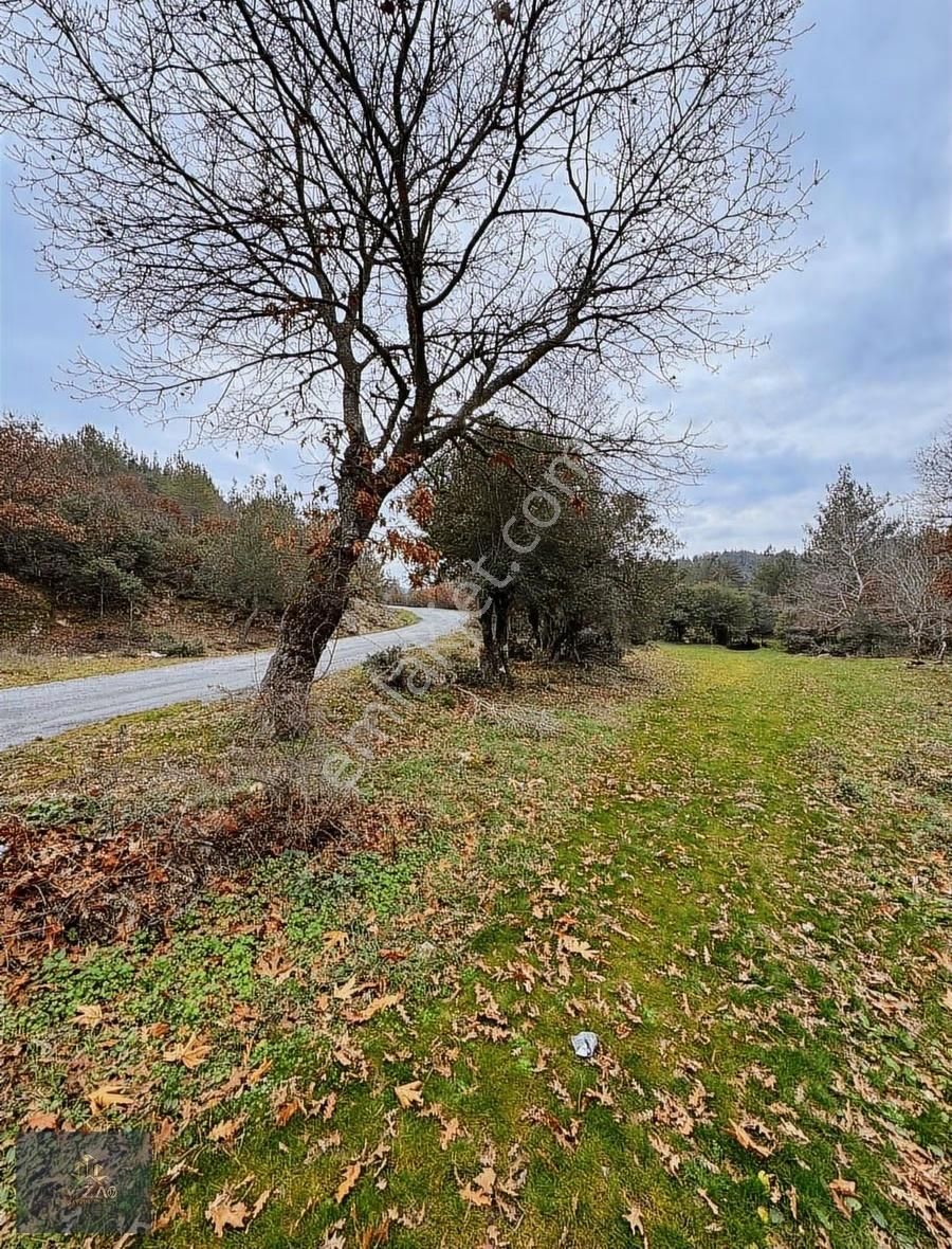 Çanakkale Lapseki Harmancık Hobi Bahçesi - Görsel 11