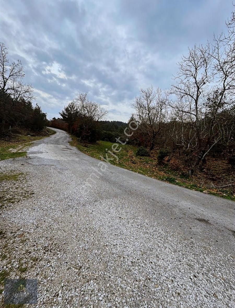 Çanakkale Lapseki Harmancık Hobi Bahçesi - Görsel 9