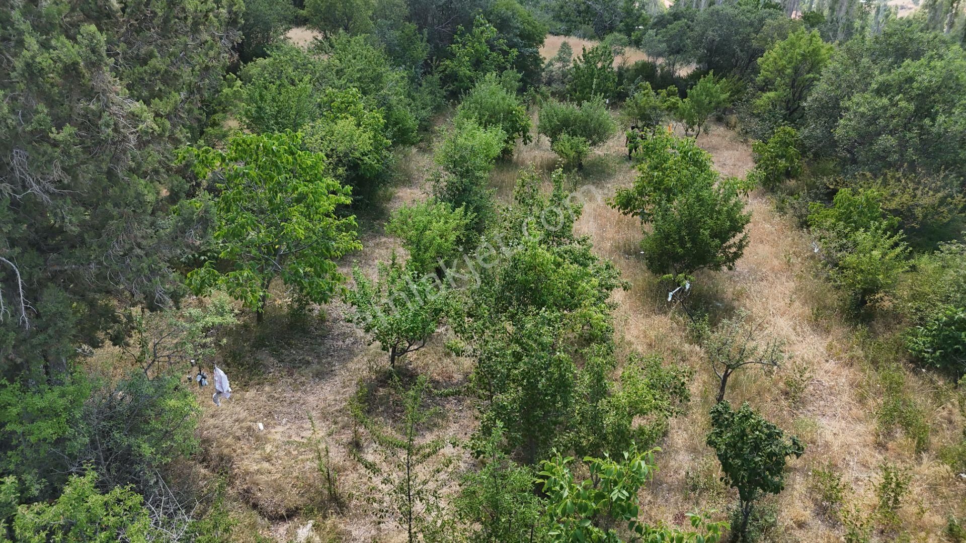 🏡 Köyde Hayat Seni Bekliyor! 📍 Burdur Merkez – Soğanlı Köyü 🍎 865 M² Köy İçi Bahçe - Görsel 6