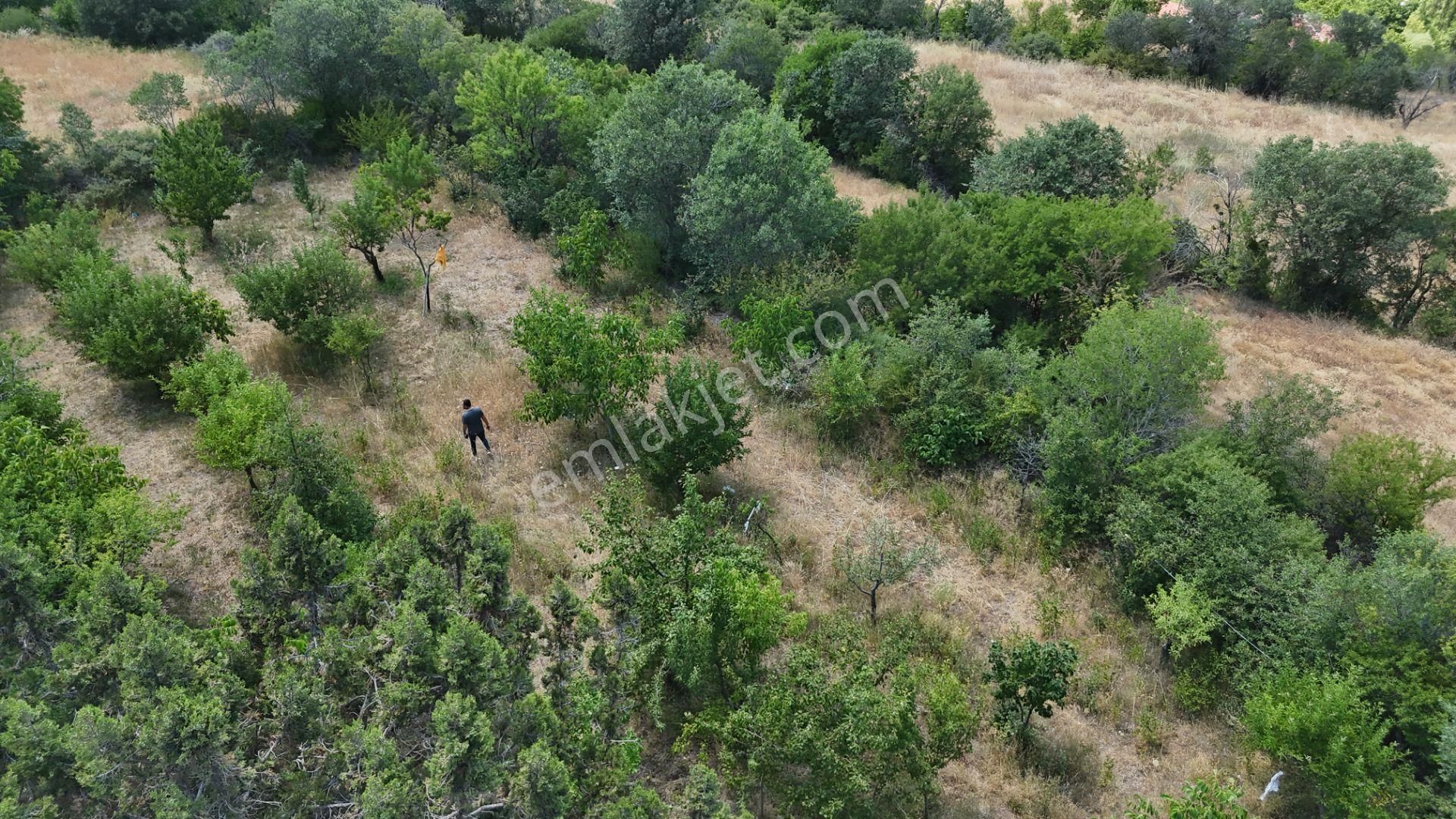 🏡 Köyde Hayat Seni Bekliyor! 📍 Burdur Merkez – Soğanlı Köyü 🍎 865 M² Köy İçi Bahçe - Görsel 5