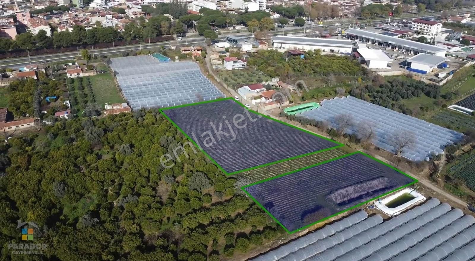 Aydın Sultanhisar Atça Mahallesinde Satılık Sanayi İmarlı Arsa - Görsel 8
