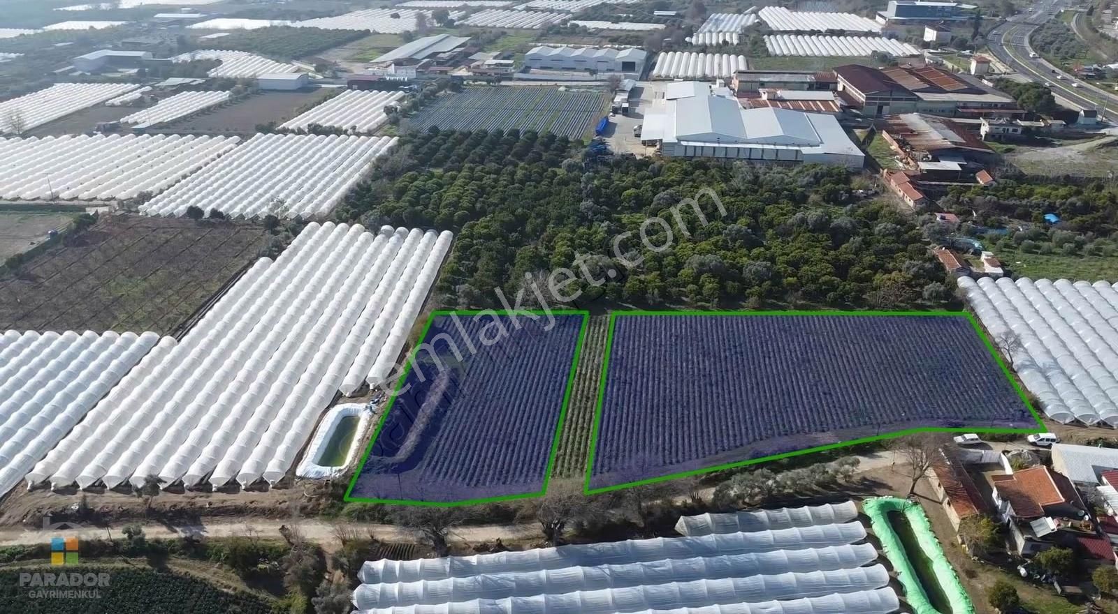 Aydın Sultanhisar Atça Mahallesinde Satılık Sanayi İmarlı Arsa - Görsel 3