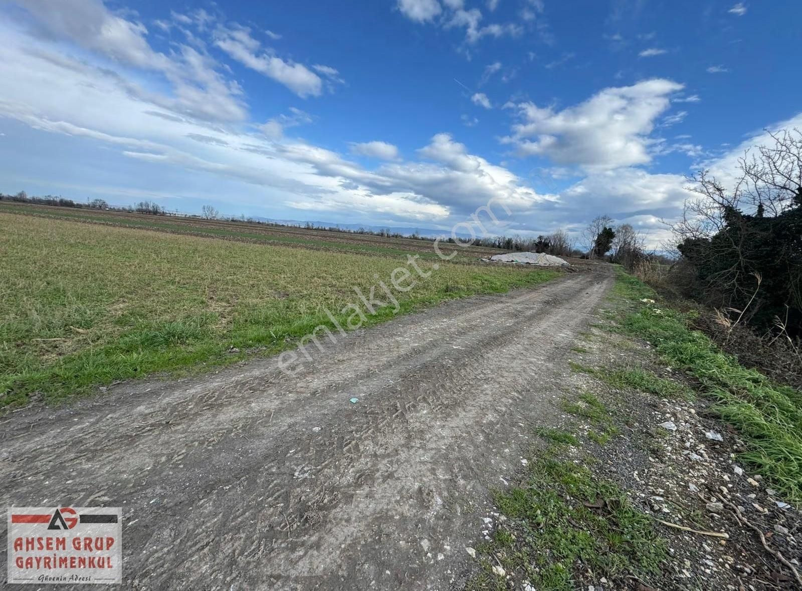 Küçükesence Mahallesinde 2.000 M² Yola Cepheli Satılık Tarla - Görsel 12