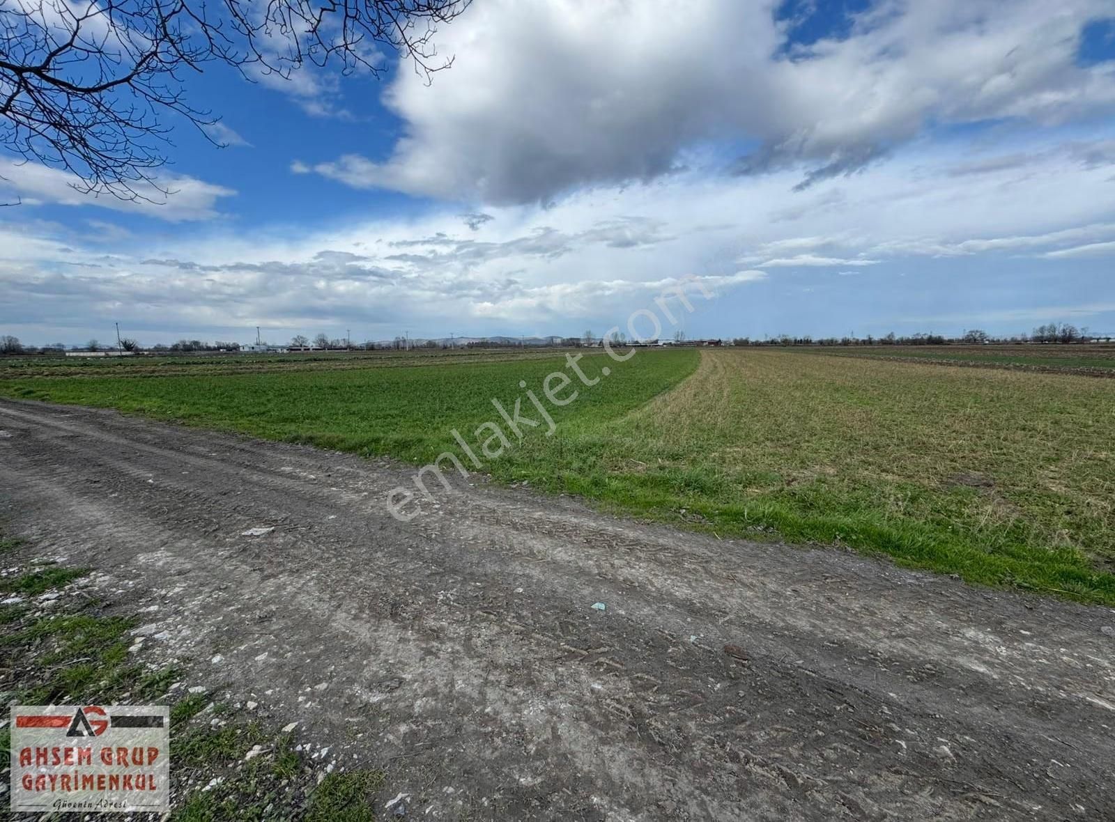 Küçükesence Mahallesinde 2.000 M² Yola Cepheli Satılık Tarla - Görsel 8