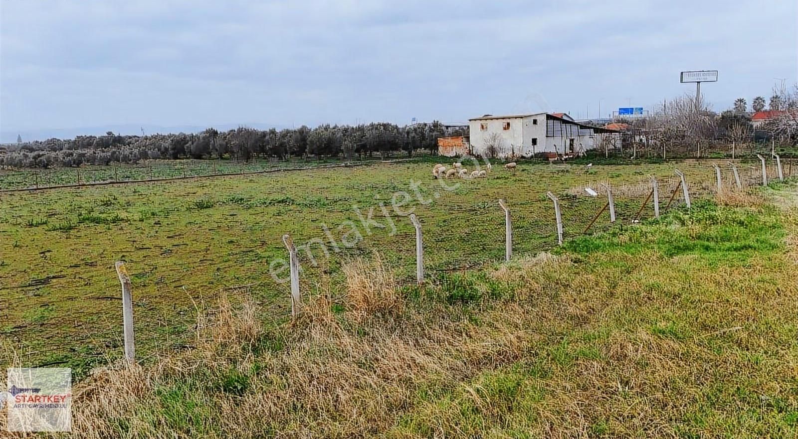 Menemen Türkelli Foça Yolunda 3.200 M² Satılık Arazi - Görsel 3