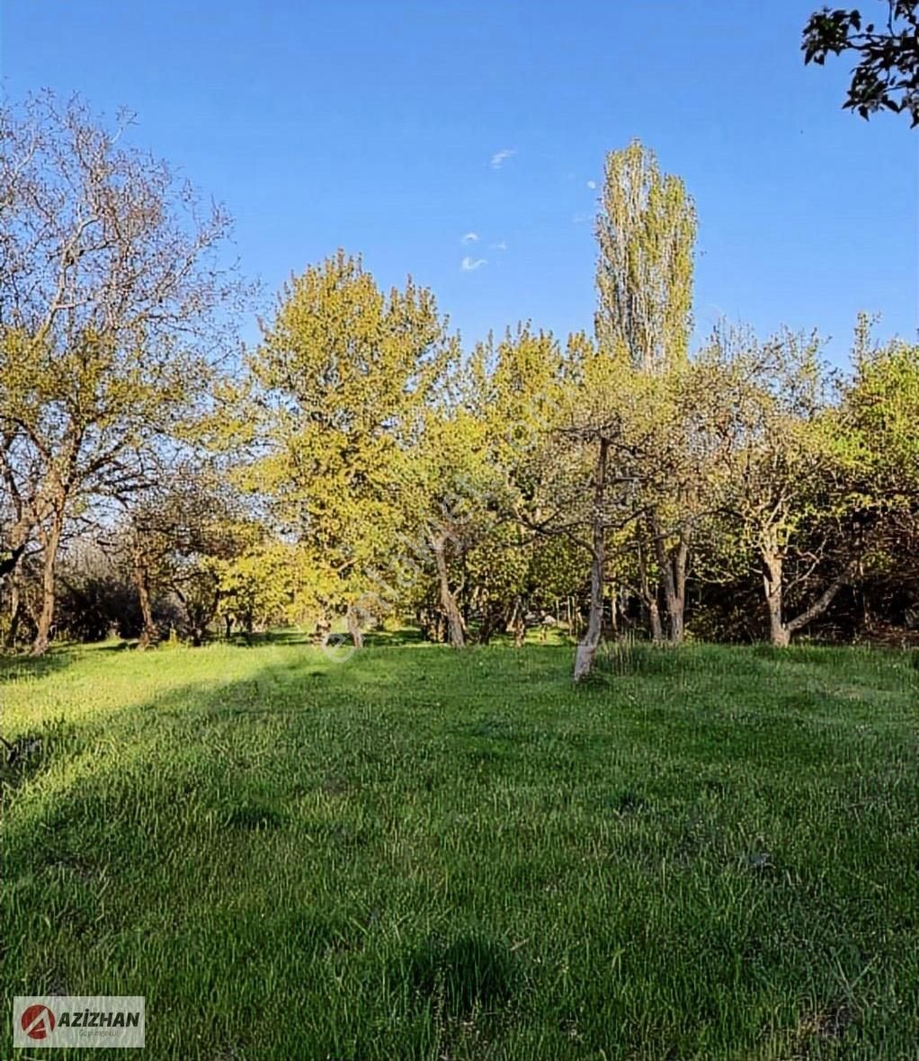 Azizhan'dan Sulutas'da 4.795 M Satılık Arsa - Görsel 5