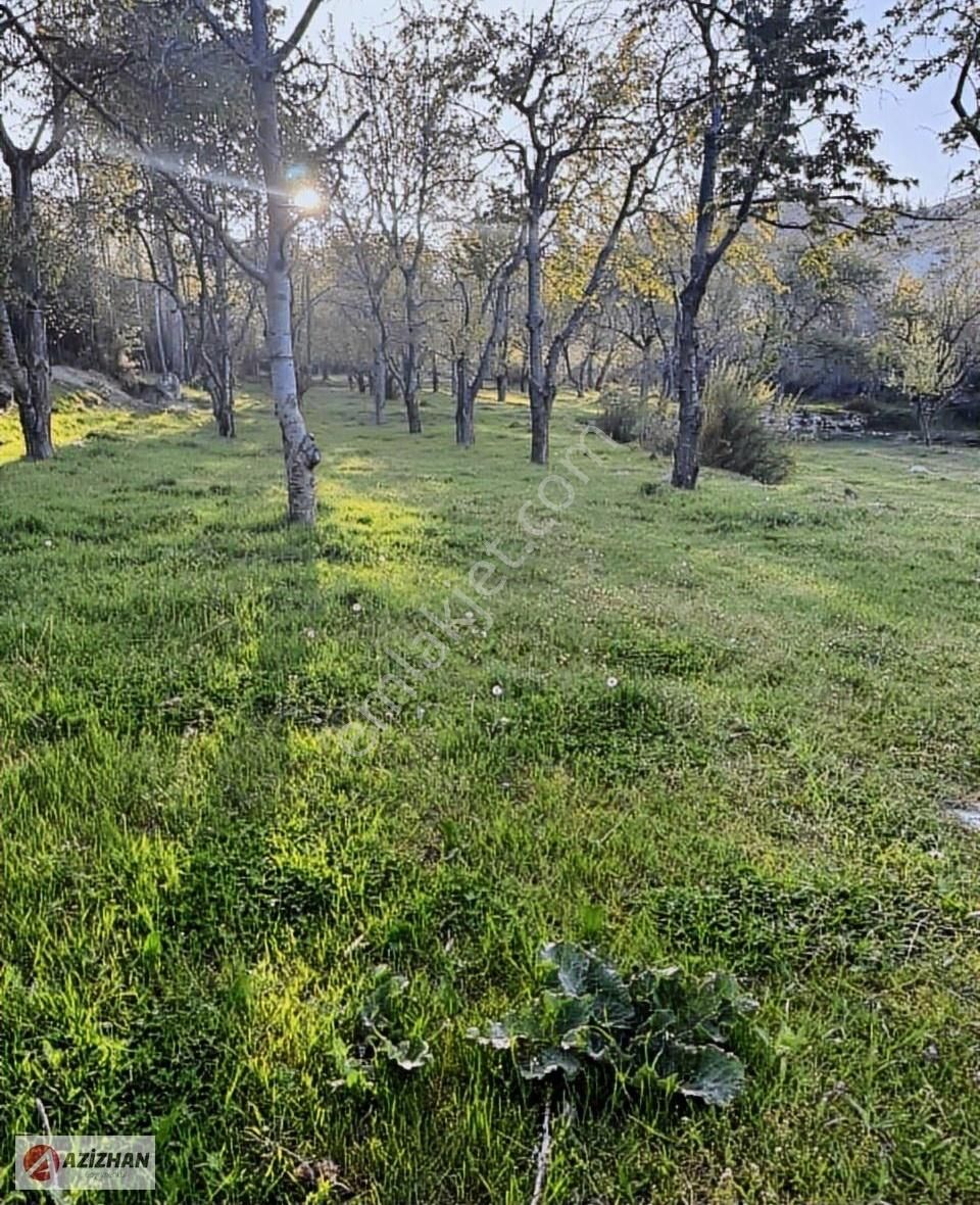 Azizhan'dan Sulutas'da 4.795 M Satılık Arsa - Görsel 7