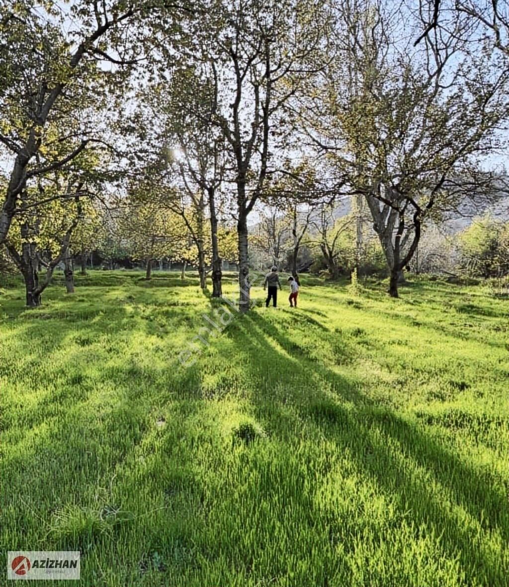 Azizhan'dan Sulutas'da 4.795 M Satılık Arsa - Görsel 10