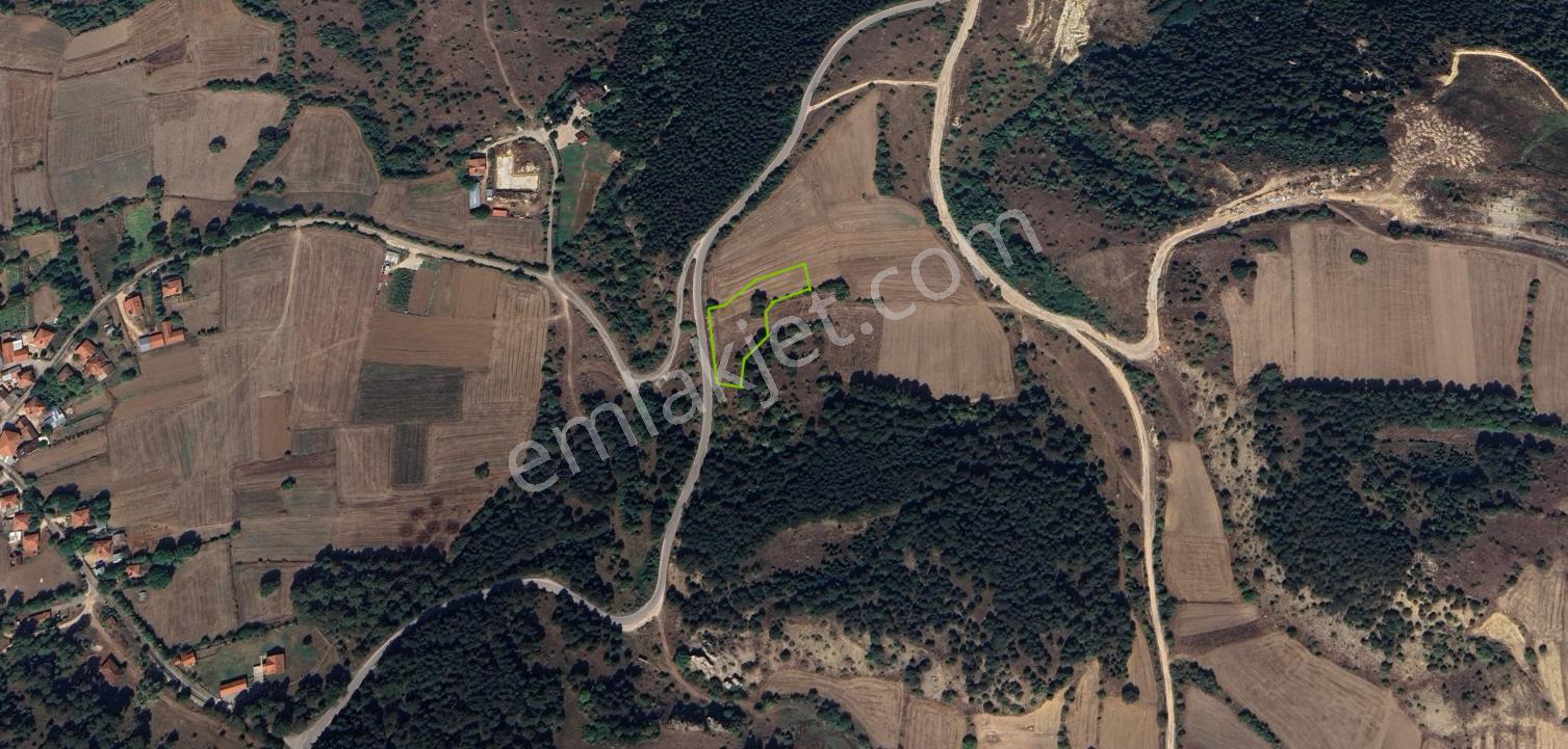 Çamlıoğlu Gayrimenkul'den - Saraycık'da - Satılık 2.425 M² Tarla - Görsel 2