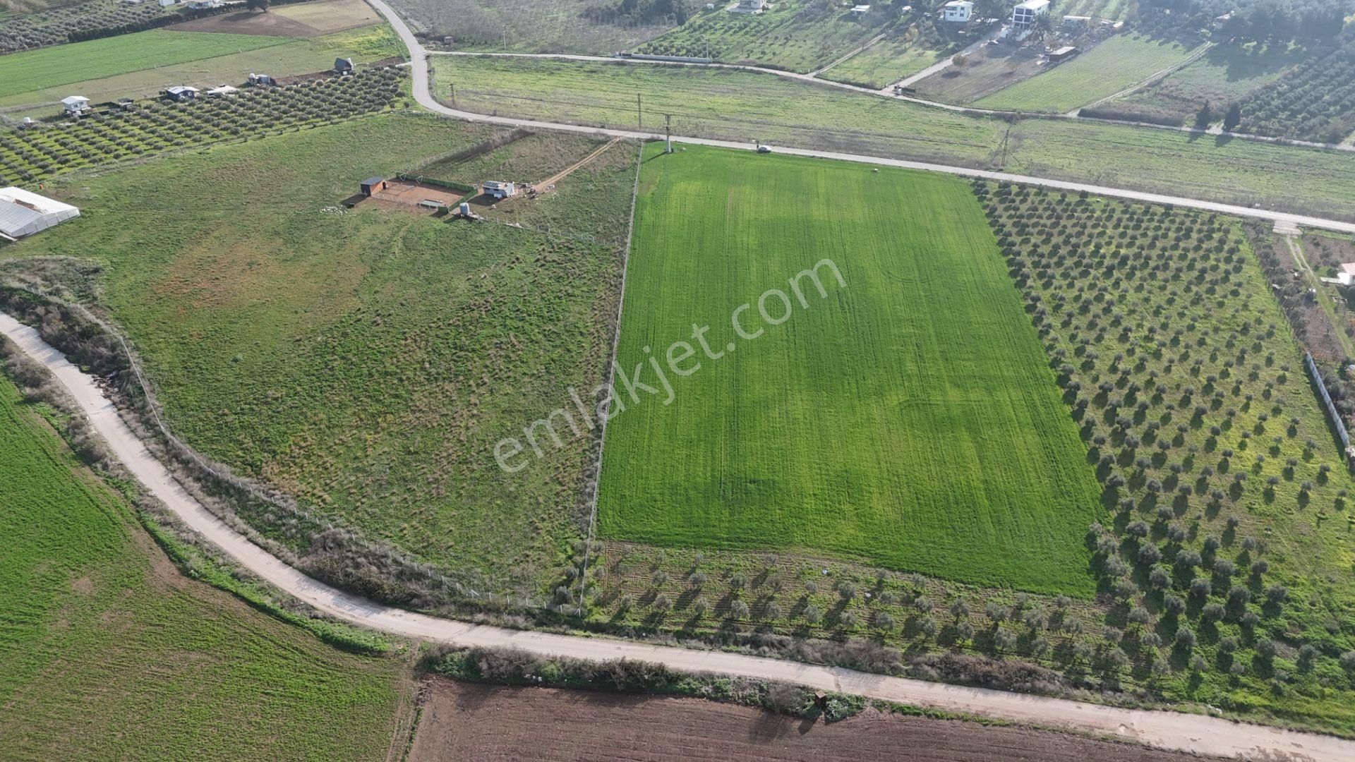 Oğlananası Menderes Arasında 16 Dönüm Tek Tapu Elektrik Su İzmir - Görsel 32