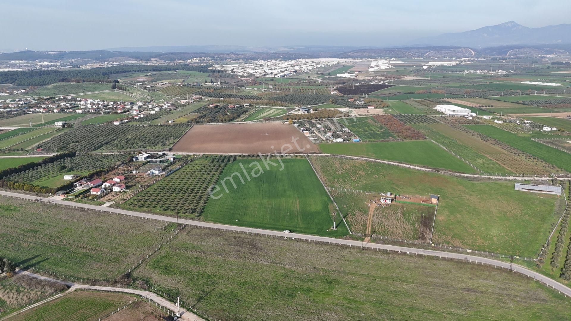 Oğlananası Menderes Arasında 16 Dönüm Tek Tapu Elektrik Su İzmir - Görsel 19