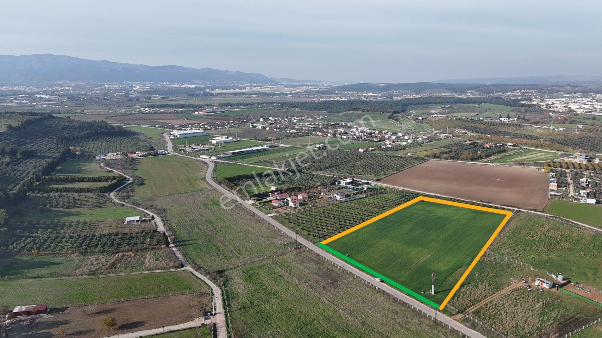 Oğlananası Menderes Arasında 16 Dönüm Tek Tapu Elektrik Su İzmir