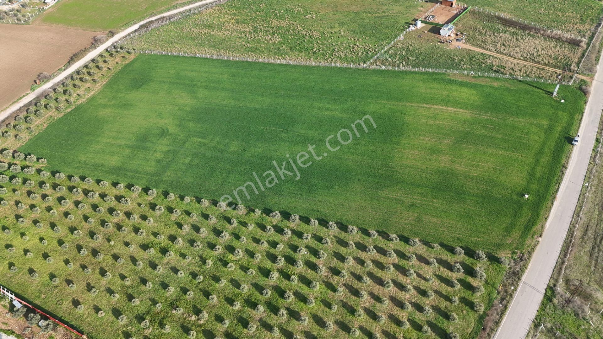 Oğlananası Menderes Arasında 16 Dönüm Tek Tapu Elektrik Su İzmir - Görsel 18