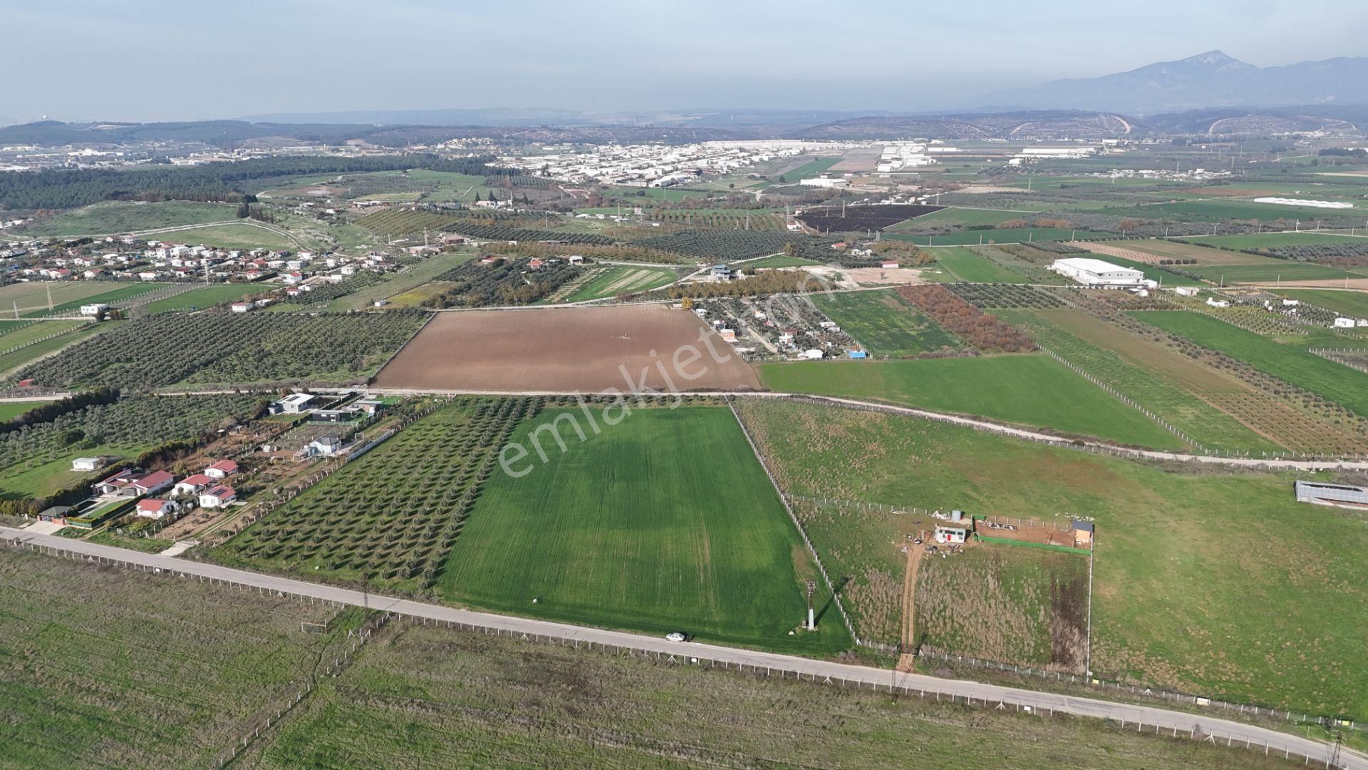 Oğlananası Menderes Arasında 16 Dönüm Tek Tapu Elektrik Su İzmir - Görsel 22