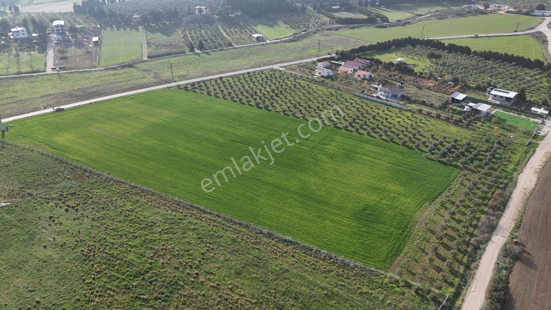 Oğlananası Menderes Arasında 16 Dönüm Tek Tapu Elektrik Su İzmir - Görsel 24