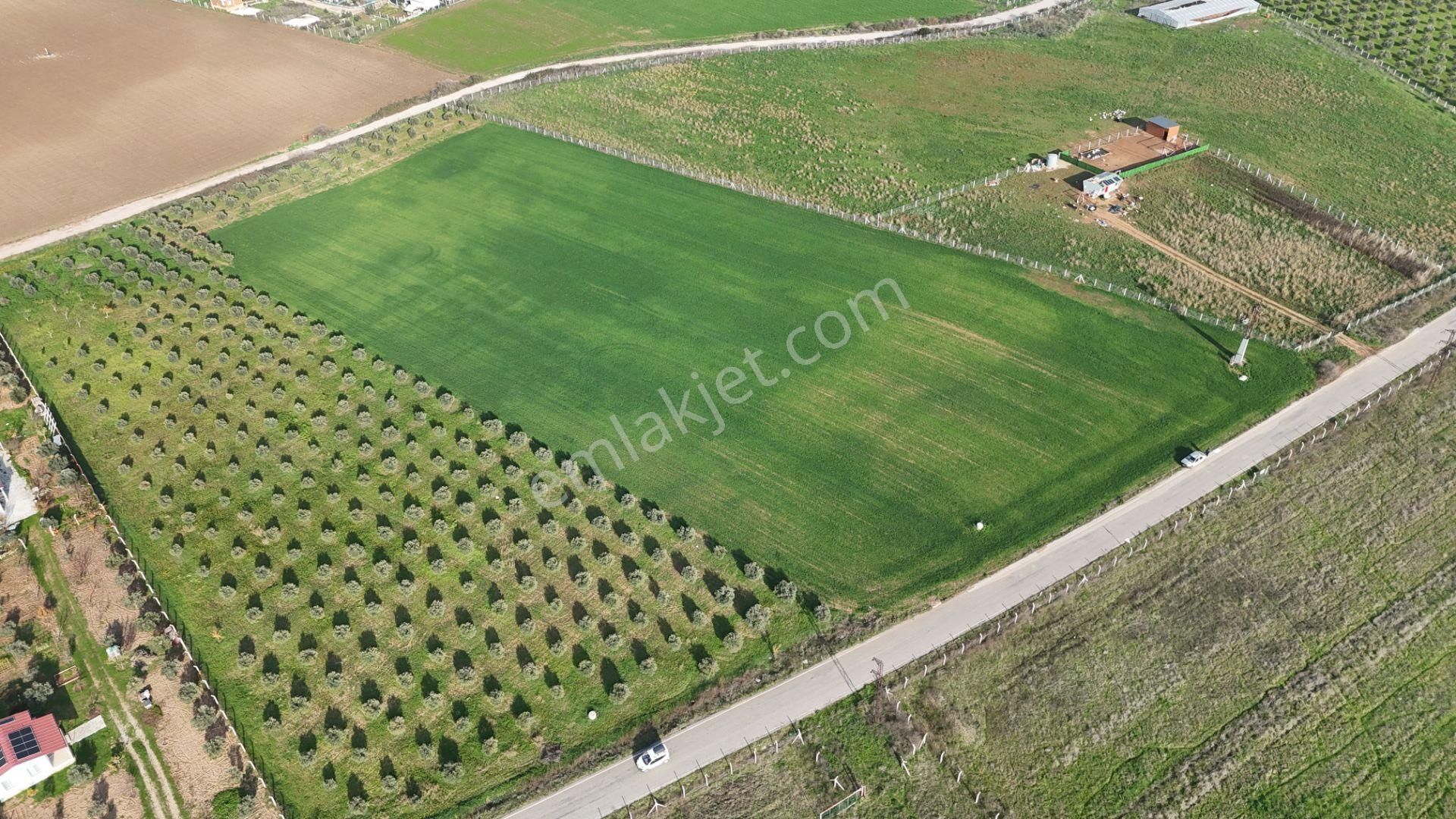 Oğlananası Menderes Arasında 16 Dönüm Tek Tapu Elektrik Su İzmir - Görsel 11