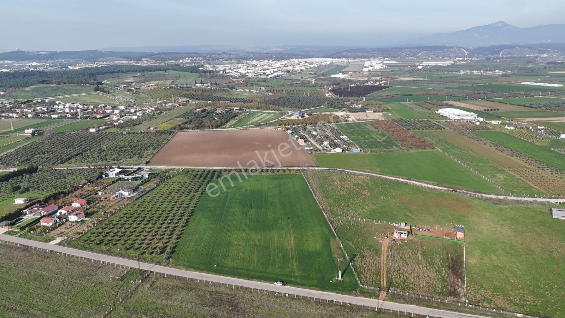 Oğlananası Menderes Arasında 16 Dönüm Tek Tapu Elektrik Su İzmir - Görsel 16