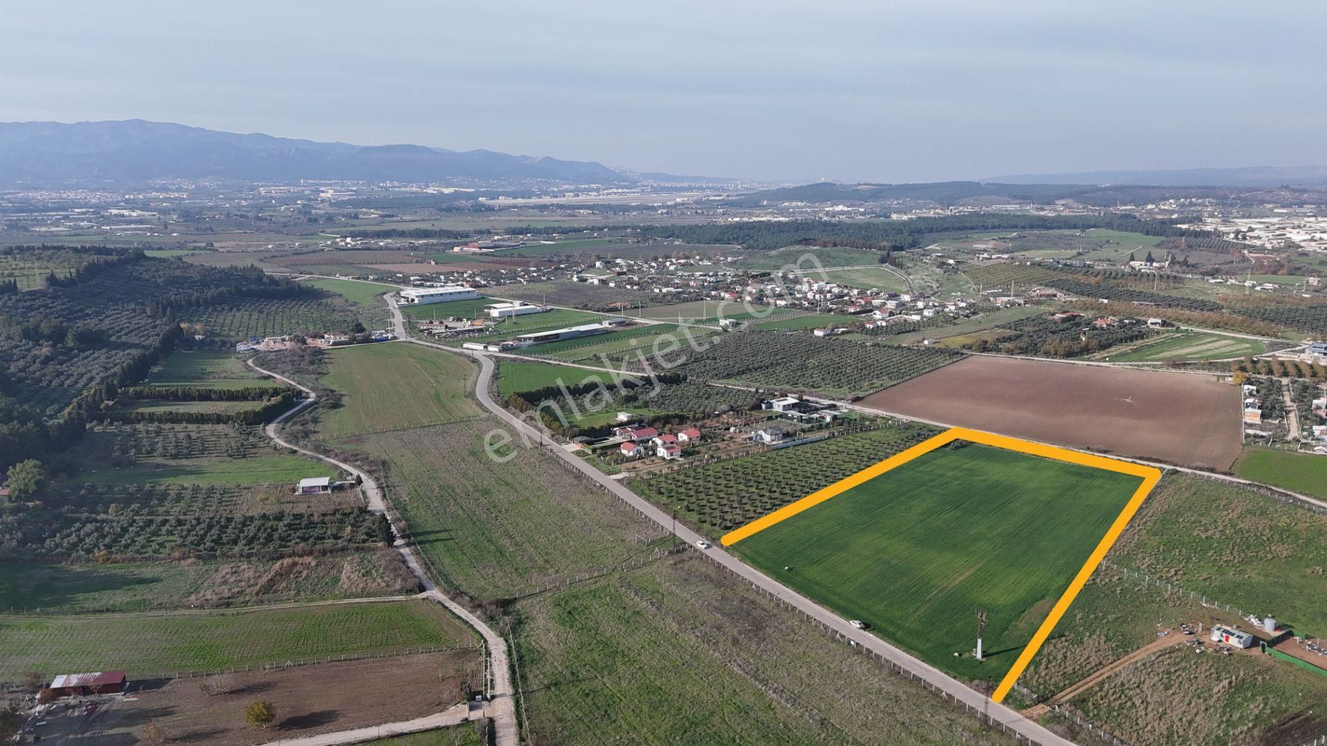 Oğlananası Menderes Arasında 16 Dönüm Tek Tapu Elektrik Su İzmir - Görsel 13