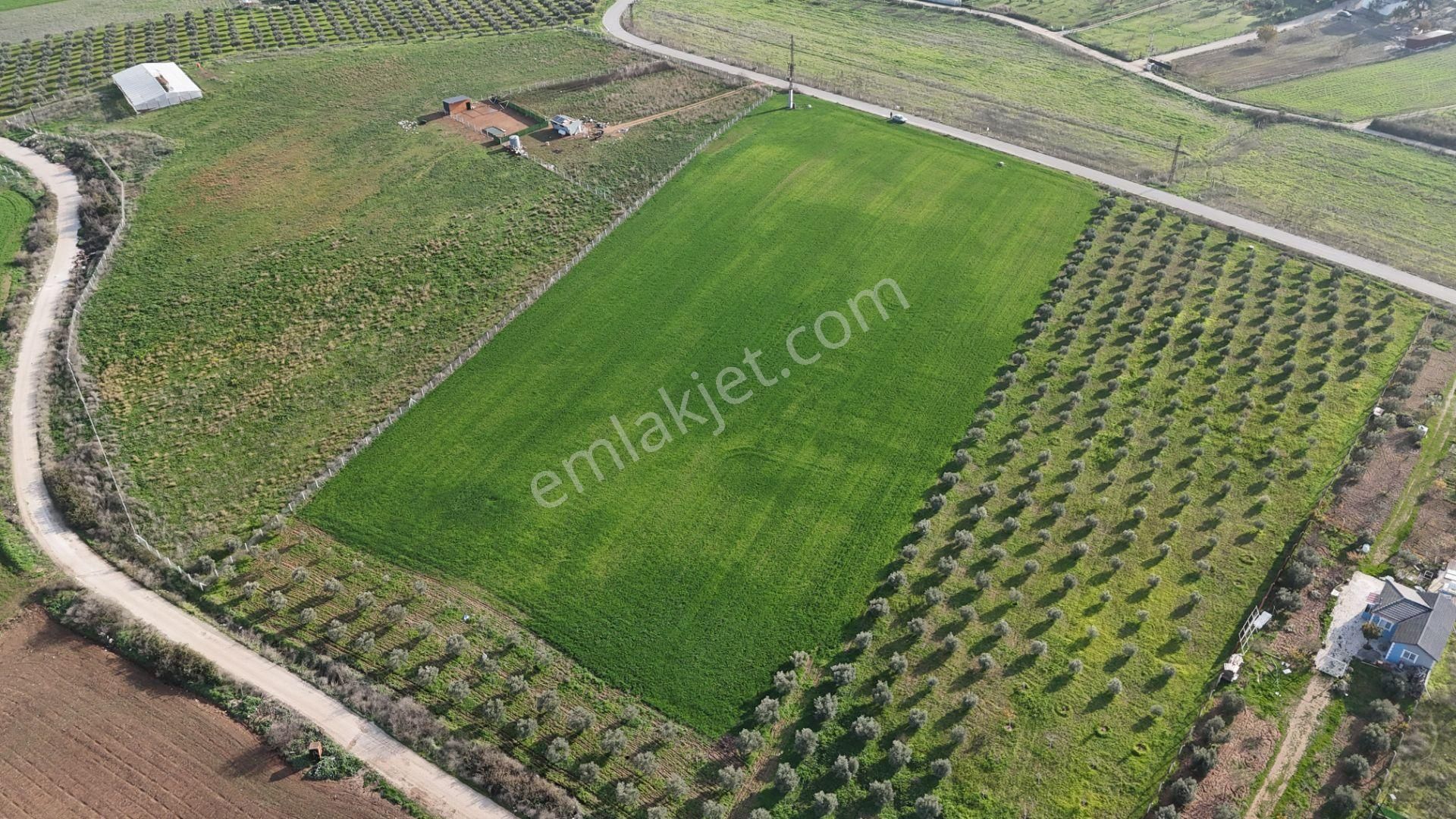 Oğlananası Menderes Arasında 16 Dönüm Tek Tapu Elektrik Su İzmir - Görsel 35