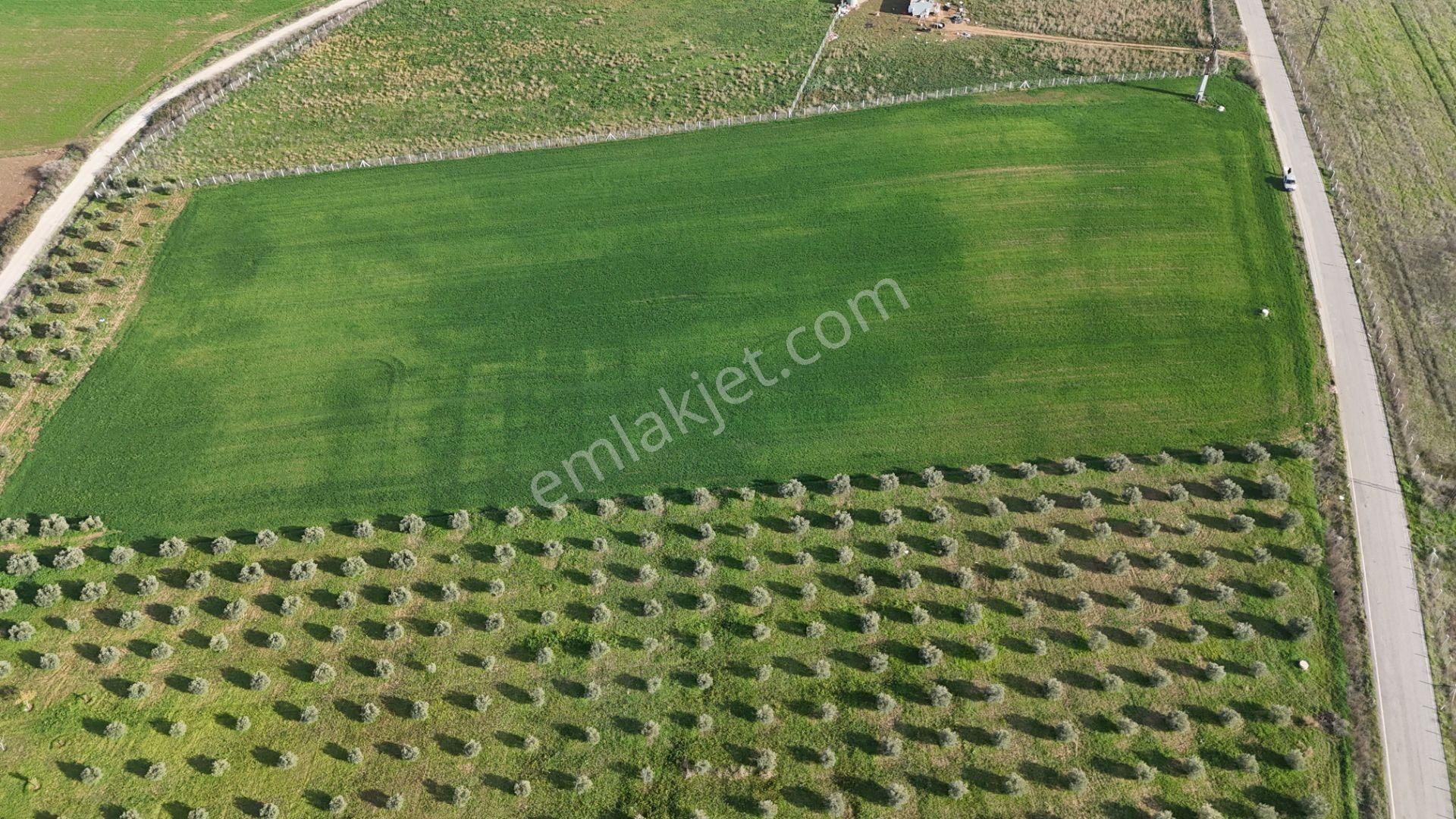 Oğlananası Menderes Arasında 16 Dönüm Tek Tapu Elektrik Su İzmir - Görsel 28