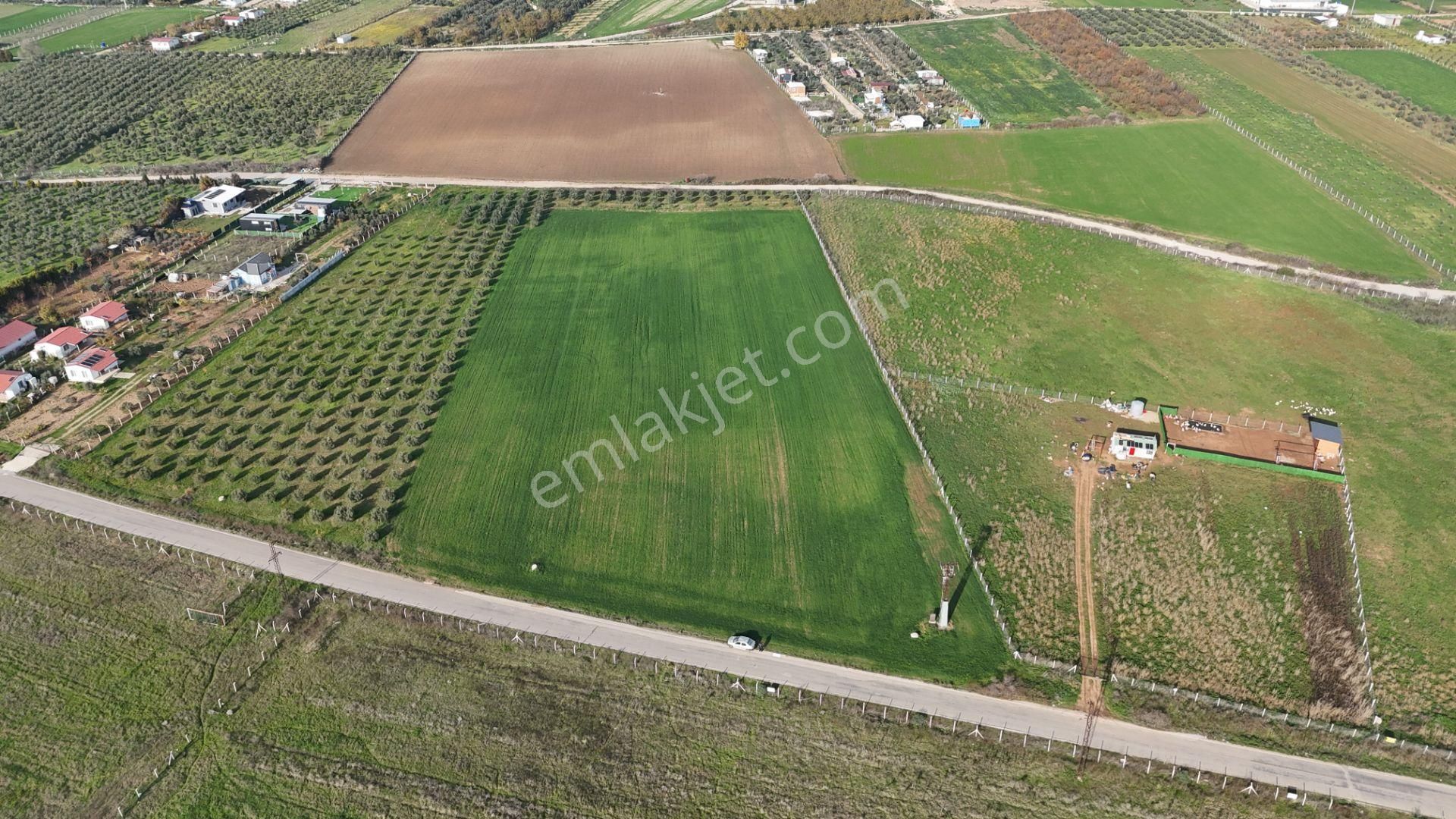 Oğlananası Menderes Arasında 16 Dönüm Tek Tapu Elektrik Su İzmir - Görsel 33