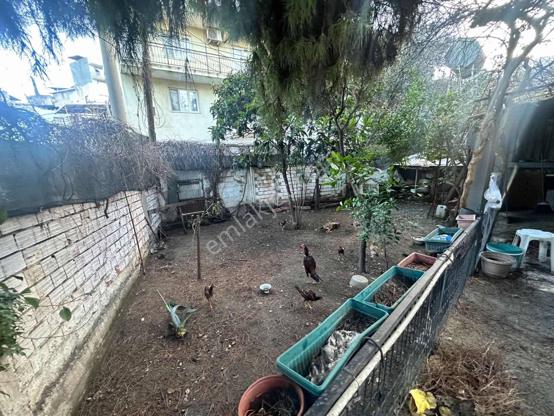 Çalışkan_dan İhsan Alyanak Mah. 271 M2 Satılık Bina Ve Arsa. - Görsel 16