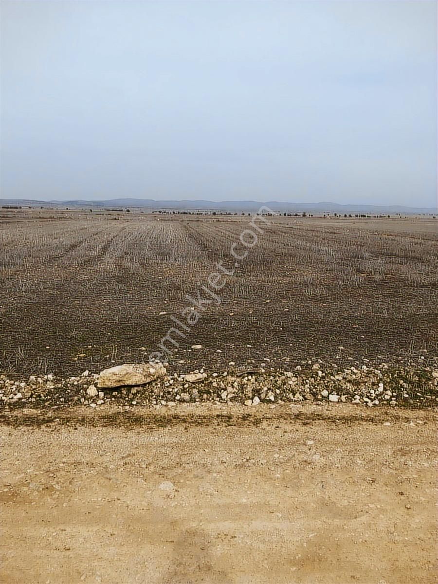 Takasa Açık 2948 M2 Tarla - Görsel 2