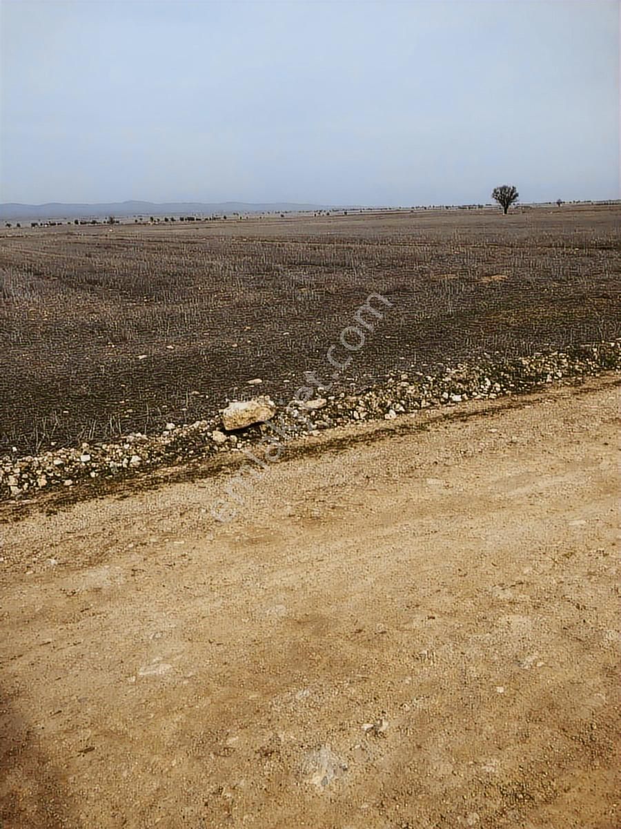 Takasa Açık 2948 M2 Tarla - Görsel 6