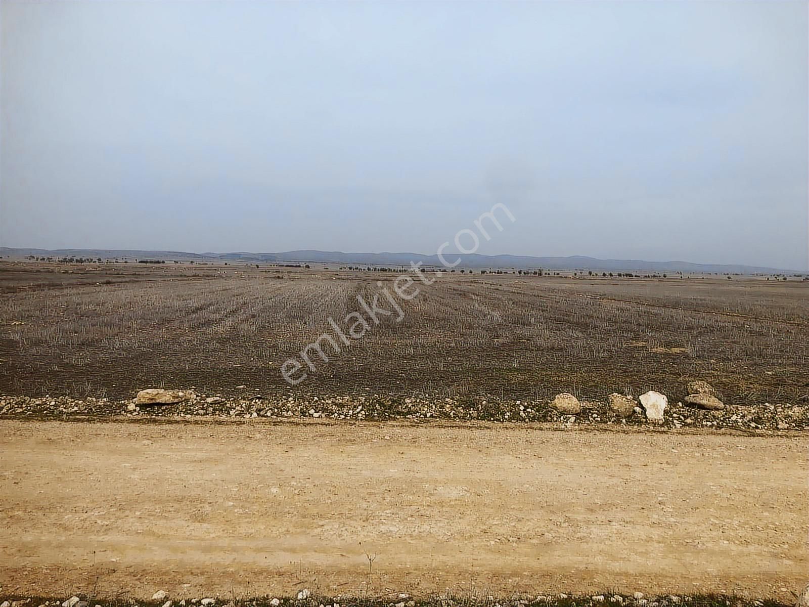 Takasa Açık 2948 M2 Tarla - Görsel 4