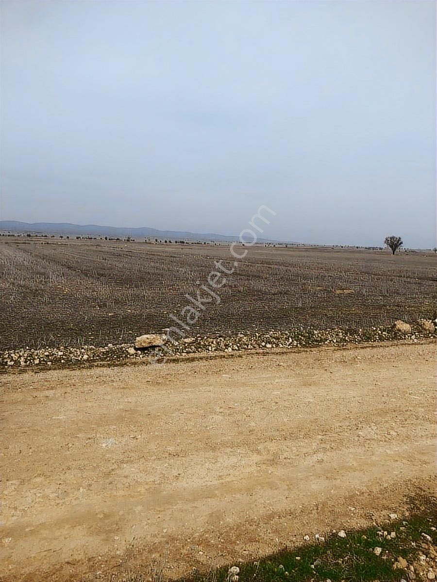 Takasa Açık 2948 M2 Tarla - Görsel 5