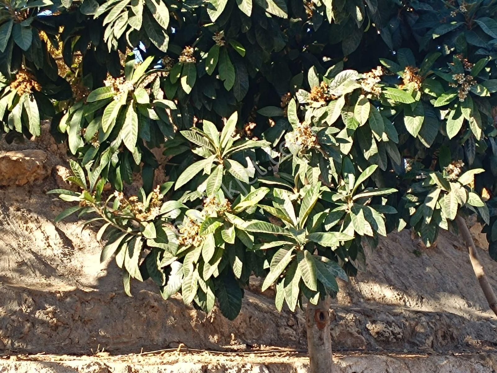 Acar Emlaktan Oğuzhan Civarında 3+1 175m2 Arakat Lüks Daire - Görsel 8