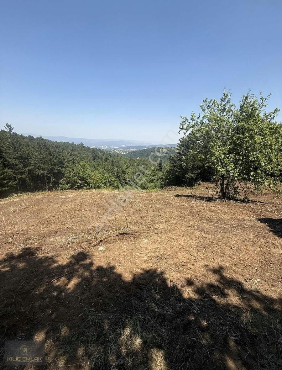 Kılıç Gayrimenkul'den Alaçam'da 2800 M2 Tek Tapu Hobi Bahçesi - Görsel 14