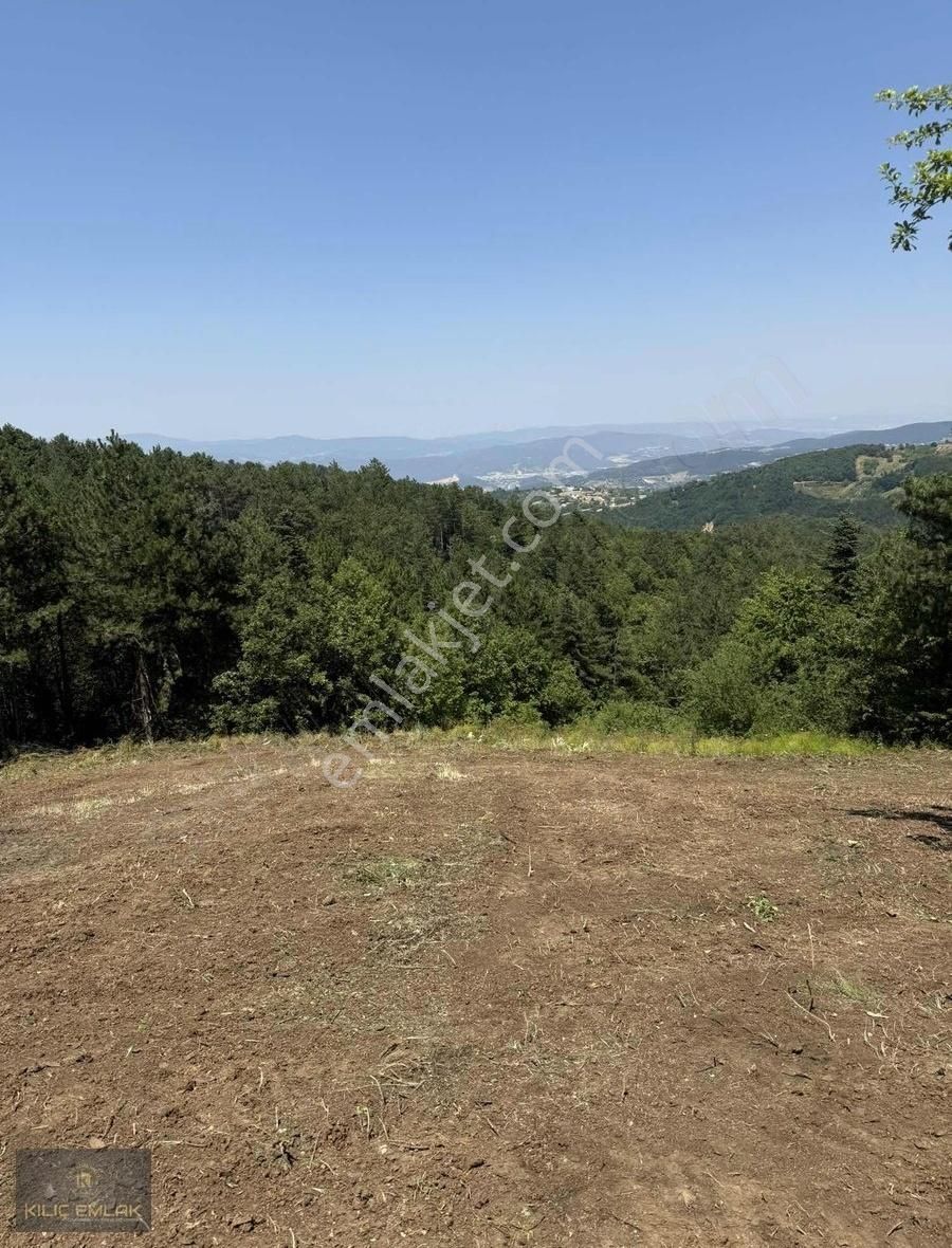 Kılıç Gayrimenkul'den Alaçam'da 2800 M2 Tek Tapu Hobi Bahçesi - Görsel 10
