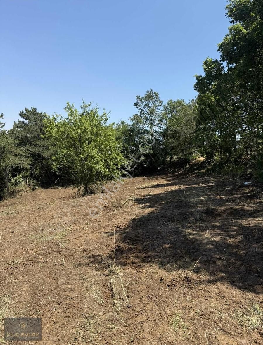 Kılıç Gayrimenkul'den Alaçam'da 2800 M2 Tek Tapu Hobi Bahçesi - Görsel 9