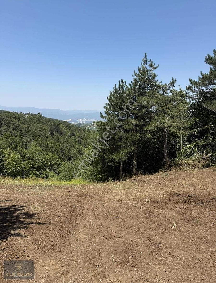 Kılıç Gayrimenkul'den Alaçam'da 2800 M2 Tek Tapu Hobi Bahçesi - Görsel 4