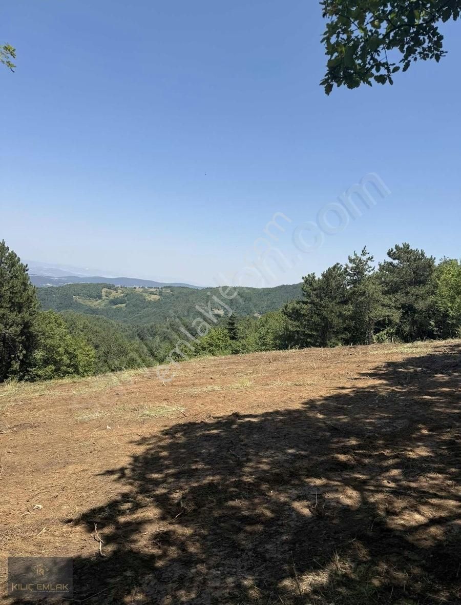 Kılıç Gayrimenkul'den Alaçam'da 2800 M2 Tek Tapu Hobi Bahçesi - Görsel 12