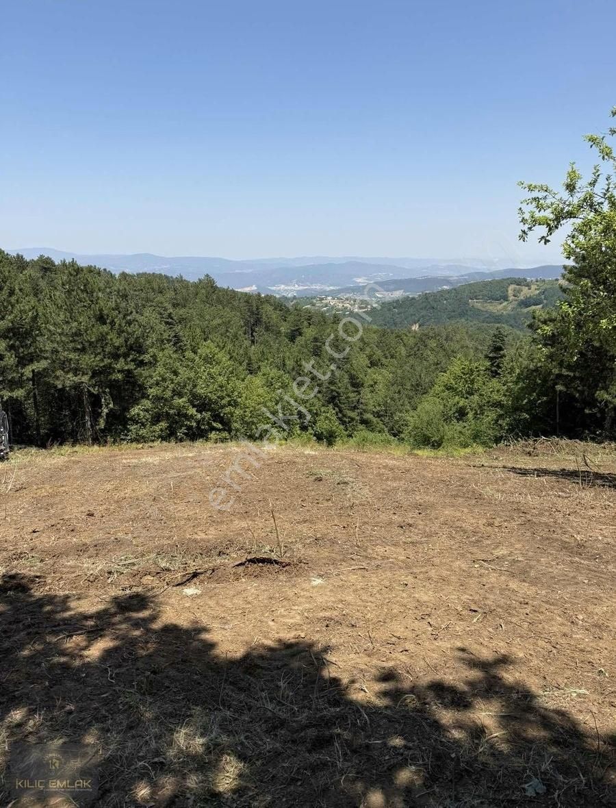 Kılıç Gayrimenkul'den Alaçam'da 2800 M2 Tek Tapu Hobi Bahçesi