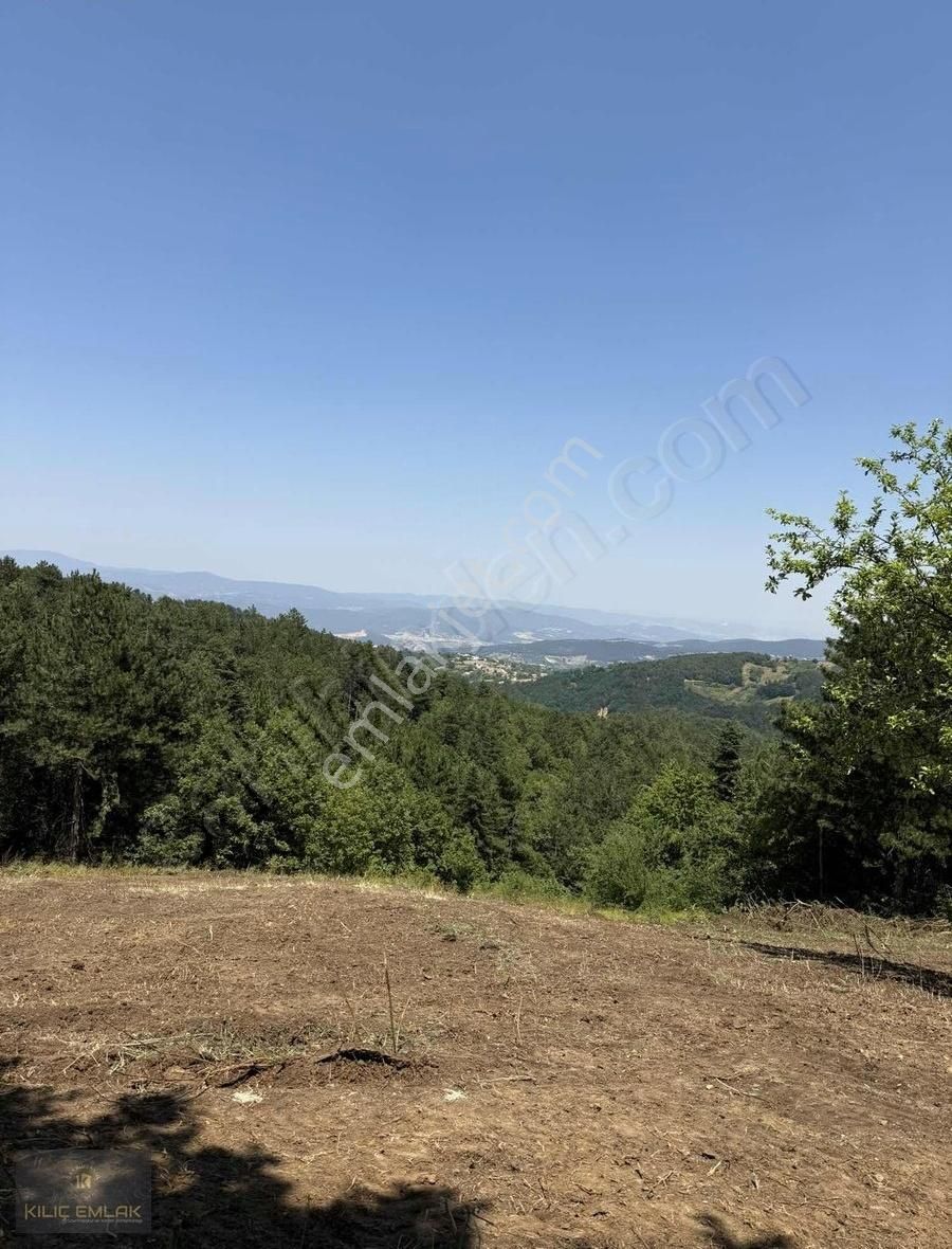 Kılıç Gayrimenkul'den Alaçam'da 2800 M2 Tek Tapu Hobi Bahçesi - Görsel 5