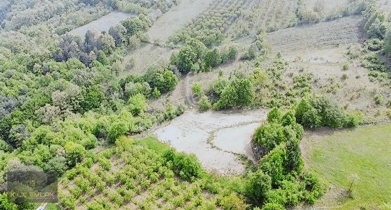 Şevketiye Mahallesinde 2850 M2 Tarla - Görsel 7