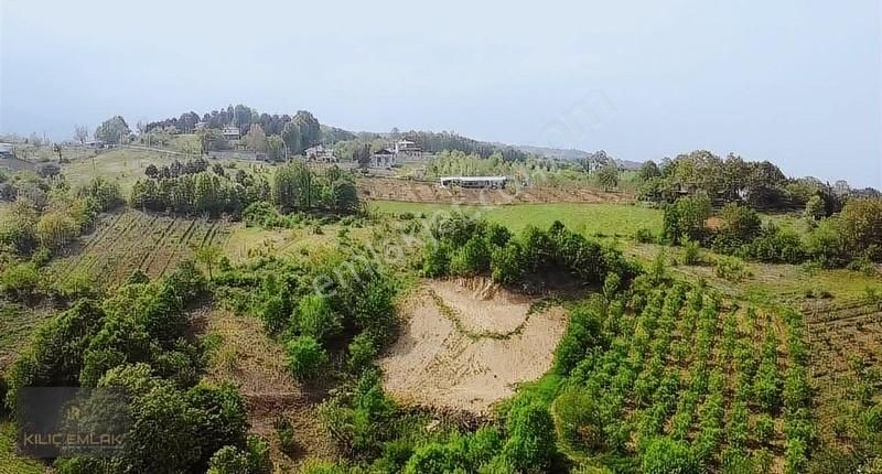 Şevketiye Mahallesinde 2850 M2 Tarla - Görsel 4
